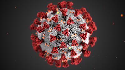 Your Business is Shut from Coronavirus, Now What?  Checking Insurance Policies and Contracts